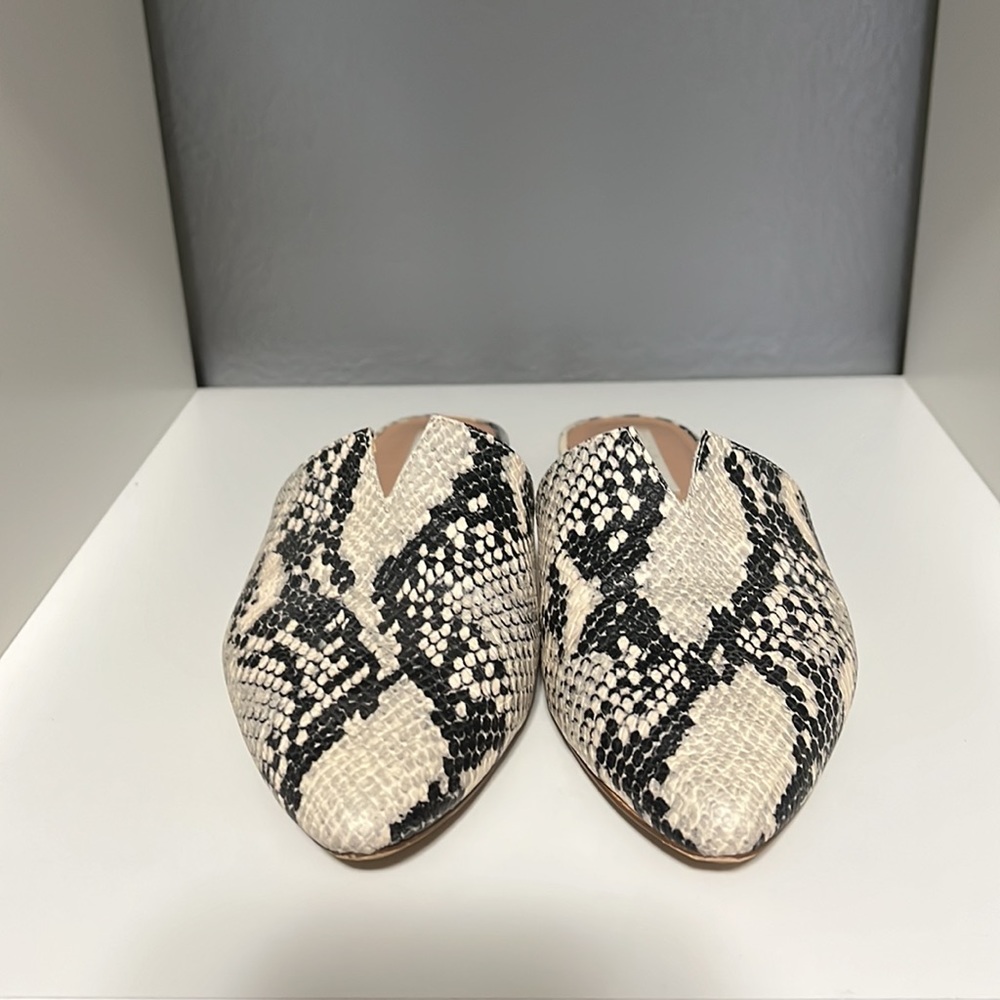 Steve Madden Ally Flats Slide Mule In Cream Snake… - image 4